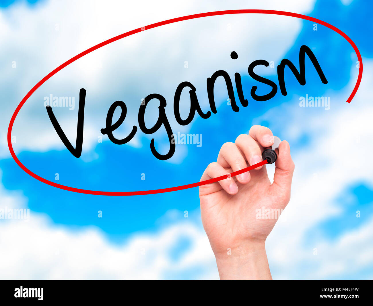 Man mano che scrive il veganismo con pennarello nero su schermo visivo Foto Stock