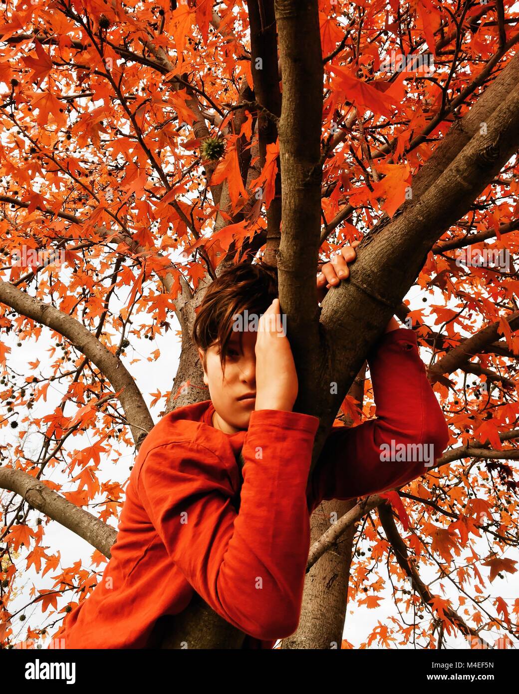 Ragazzo seduto in una struttura ad albero di autunno Foto Stock