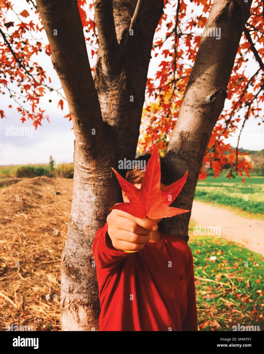 Ragazzo in possesso di una foglia di autunno Foto Stock