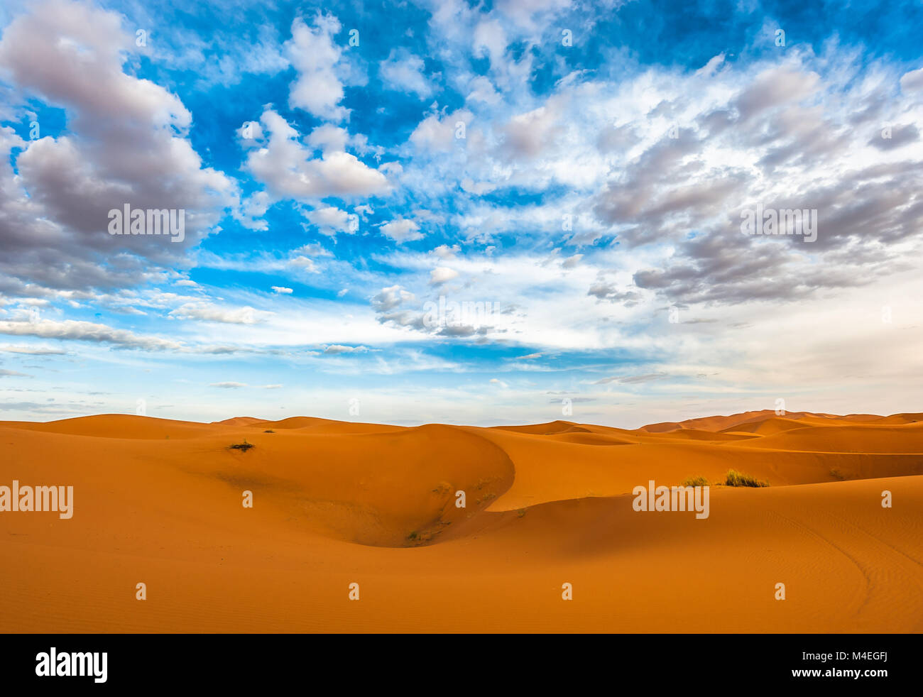 Le dune di sabbia di Erg Chebbi, Marocco Foto Stock