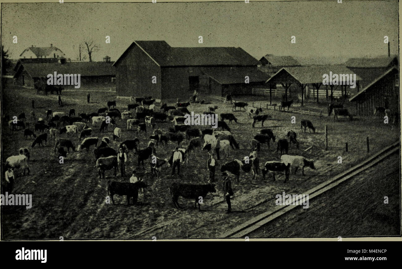 Catalogo annuale del settore agricolo e del Collegio di meccanica del Mississippi (1890) (14585846220) Foto Stock