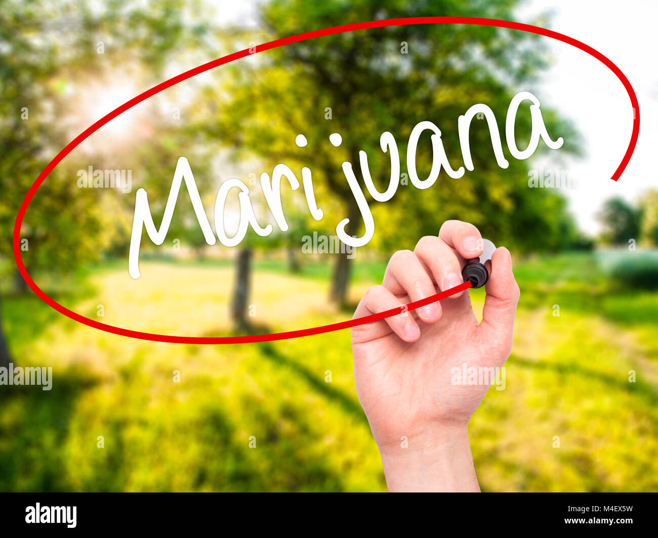 Man mano che scrive di Marijuana con pennarello nero su schermo visivo Foto Stock