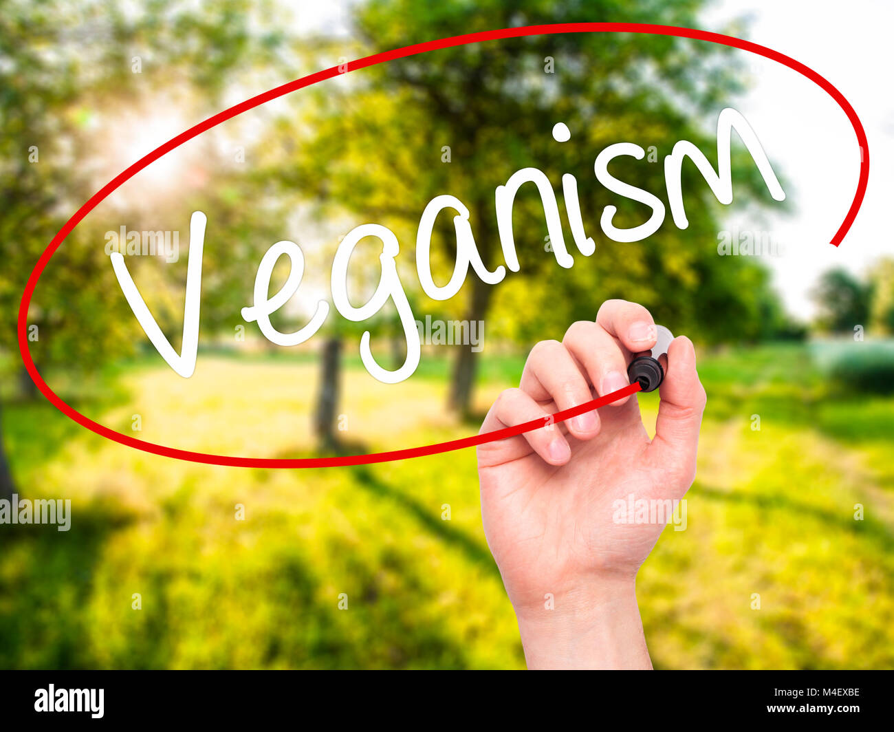 Man mano che scrive il veganismo con pennarello nero su schermo visivo Foto Stock