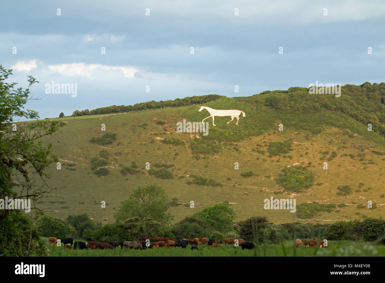 Litlington White Horse Foto Stock