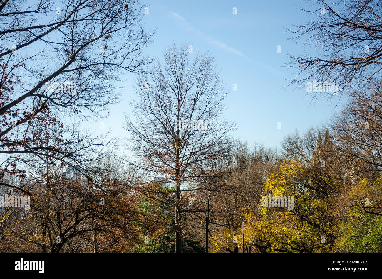 New York City Manhattan Central Park panorama Foto Stock