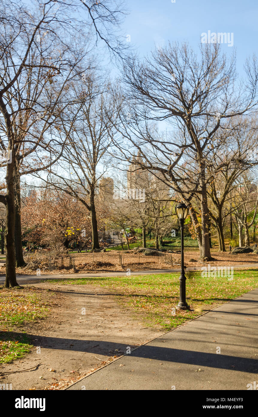 Sport presso il Central Park di New York Foto Stock