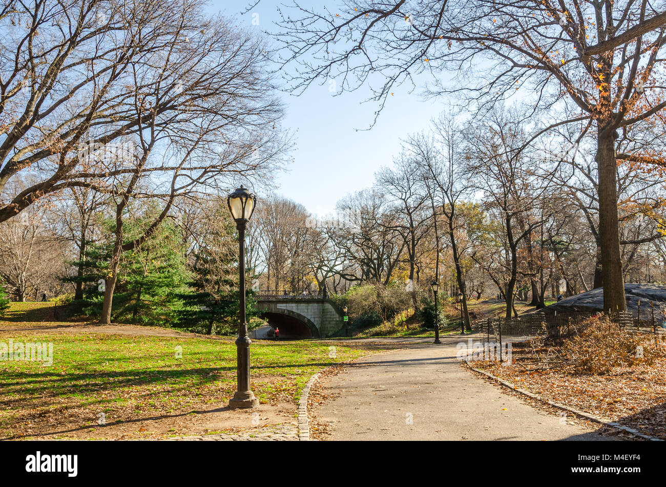 Sport presso il Central Park di New York Foto Stock