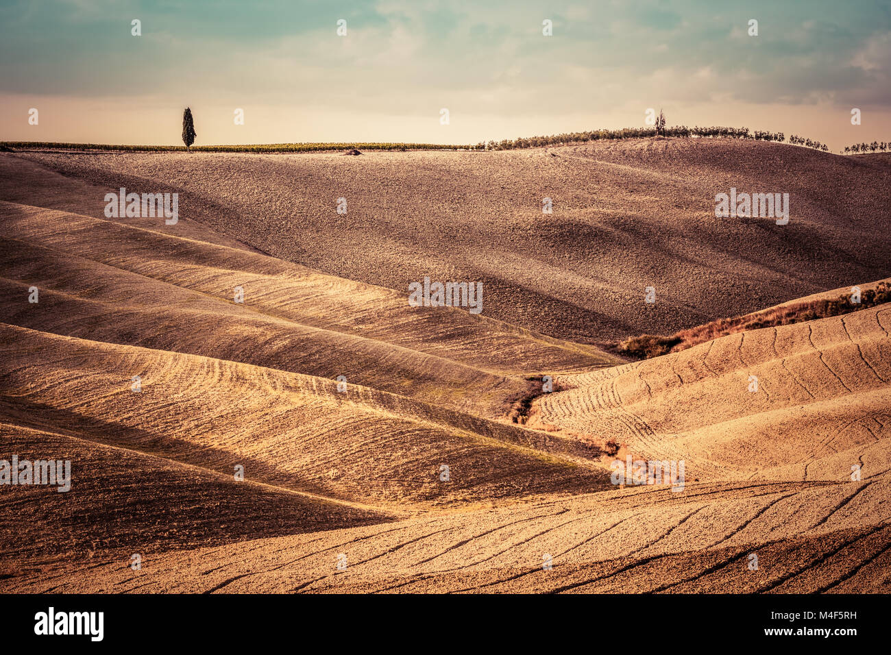 Campi Toscana paesaggio autunnale, panorama, Italia. Stagione di raccolto Foto Stock