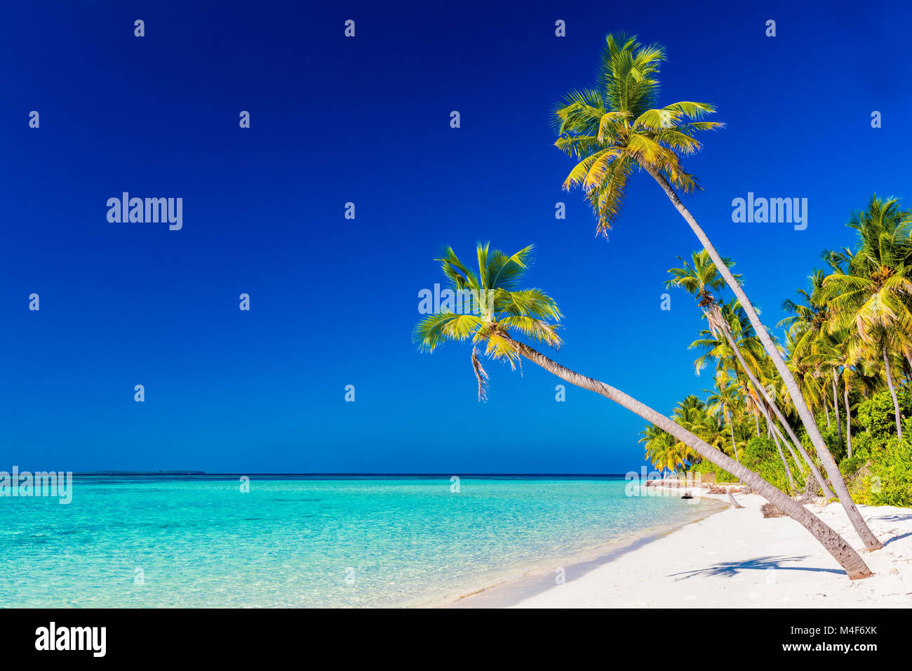 Isola tropicale con palme di cocco sulla spiaggia sabbiosa. Maldive Foto Stock