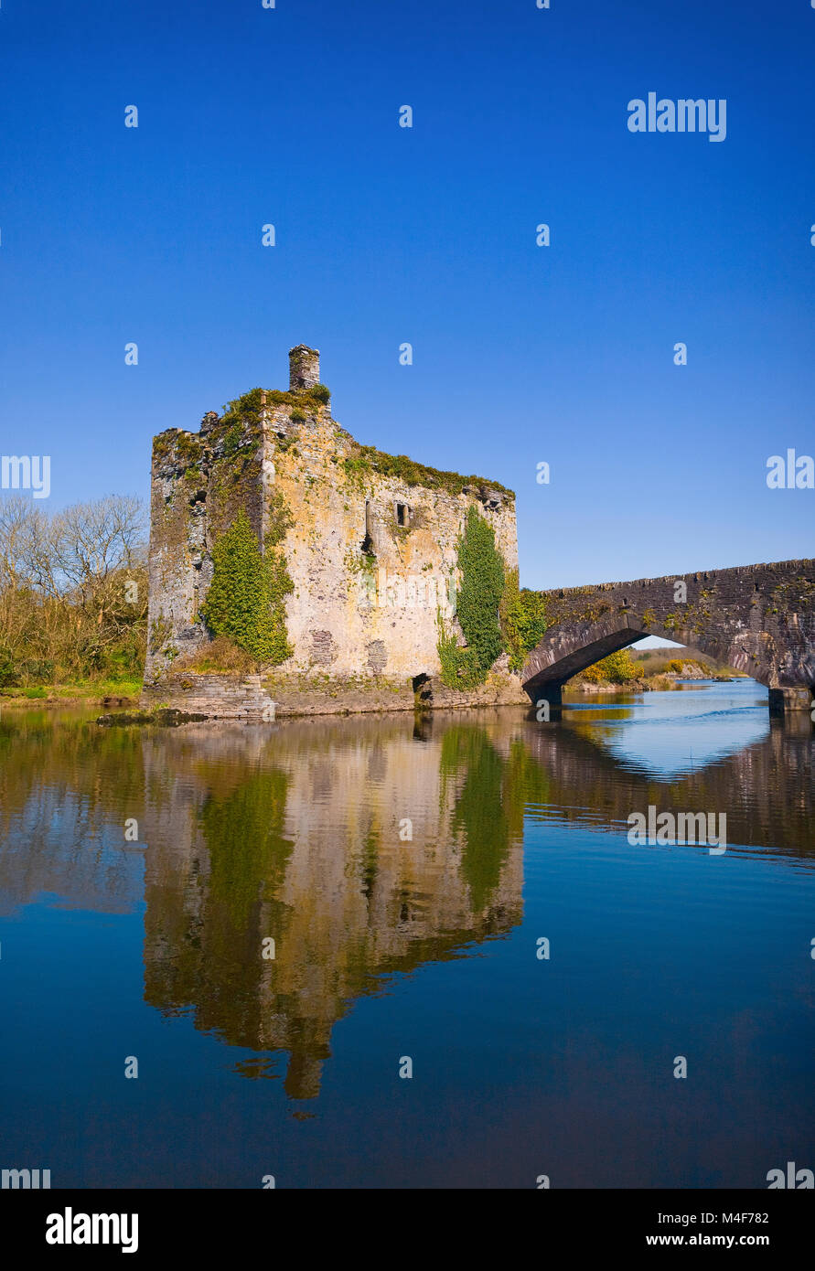 Xv secolo Carrigadrohid castello affacciato sul fiume Lee nei pressi del villaggio di Canovee, County Cork, Irlanda. Foto Stock