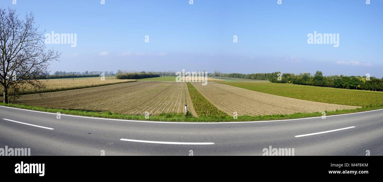 Paesaggio con campi accanto a una strada di campagna Foto Stock