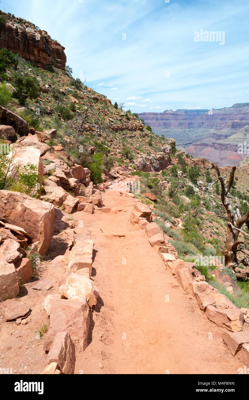 Scendendo la prova di Kaibab Foto Stock