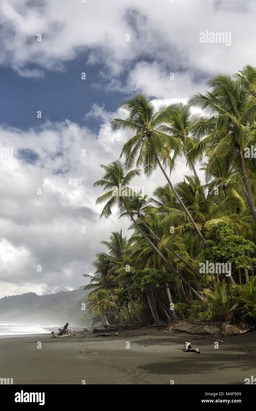Parco Nazionale del Corcovado in Costa Rica Foto Stock