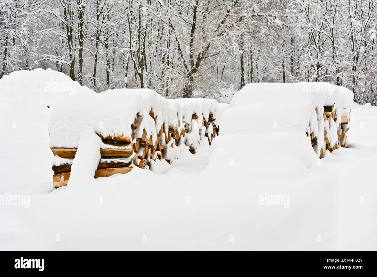 Un palo di legno in una foresta coperta di neve su un nuvoloso giorno d'inverno. Foto Stock