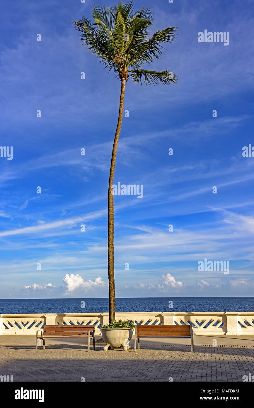 Oceanic avenue orizzonte nella città di Salvador, Brasile Foto Stock