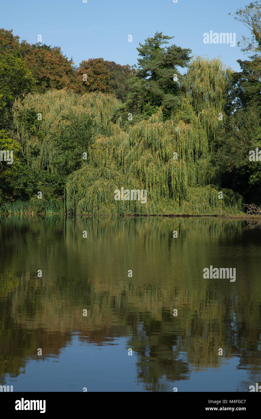 Foto di un laghetto in una giornata di sole con riflessi nell'acqua Foto Stock