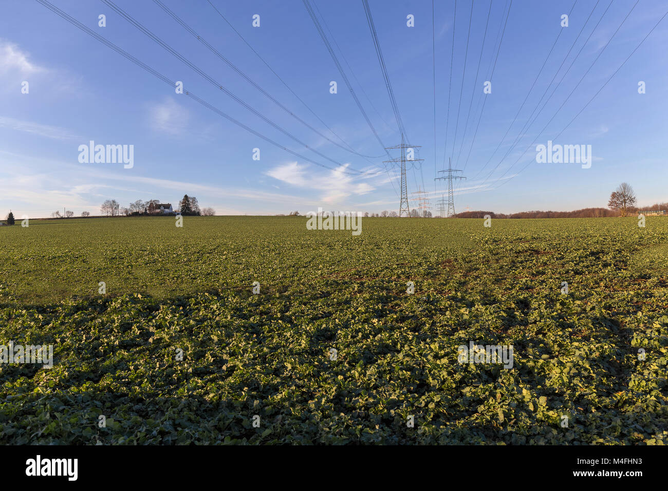 La linea di alimentazione al di sopra di un campo con il blu del cielo Foto Stock