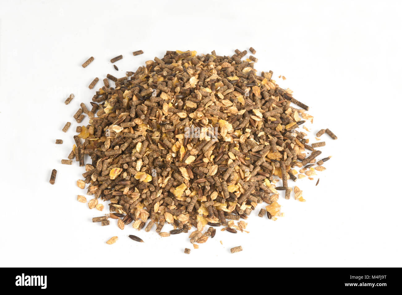 Cavallo di alimentazione con i cereali apple girasoli etc Foto Stock