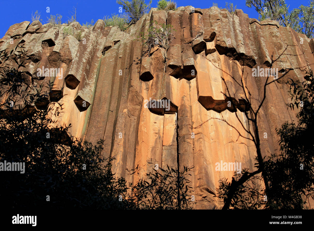 Le antiche rocce vulcaniche formazione ha creato l'organo-effetto di tubazioni a rocce segato, Narrabri, Nuovo Galles del Sud, Australia. Foto Stock