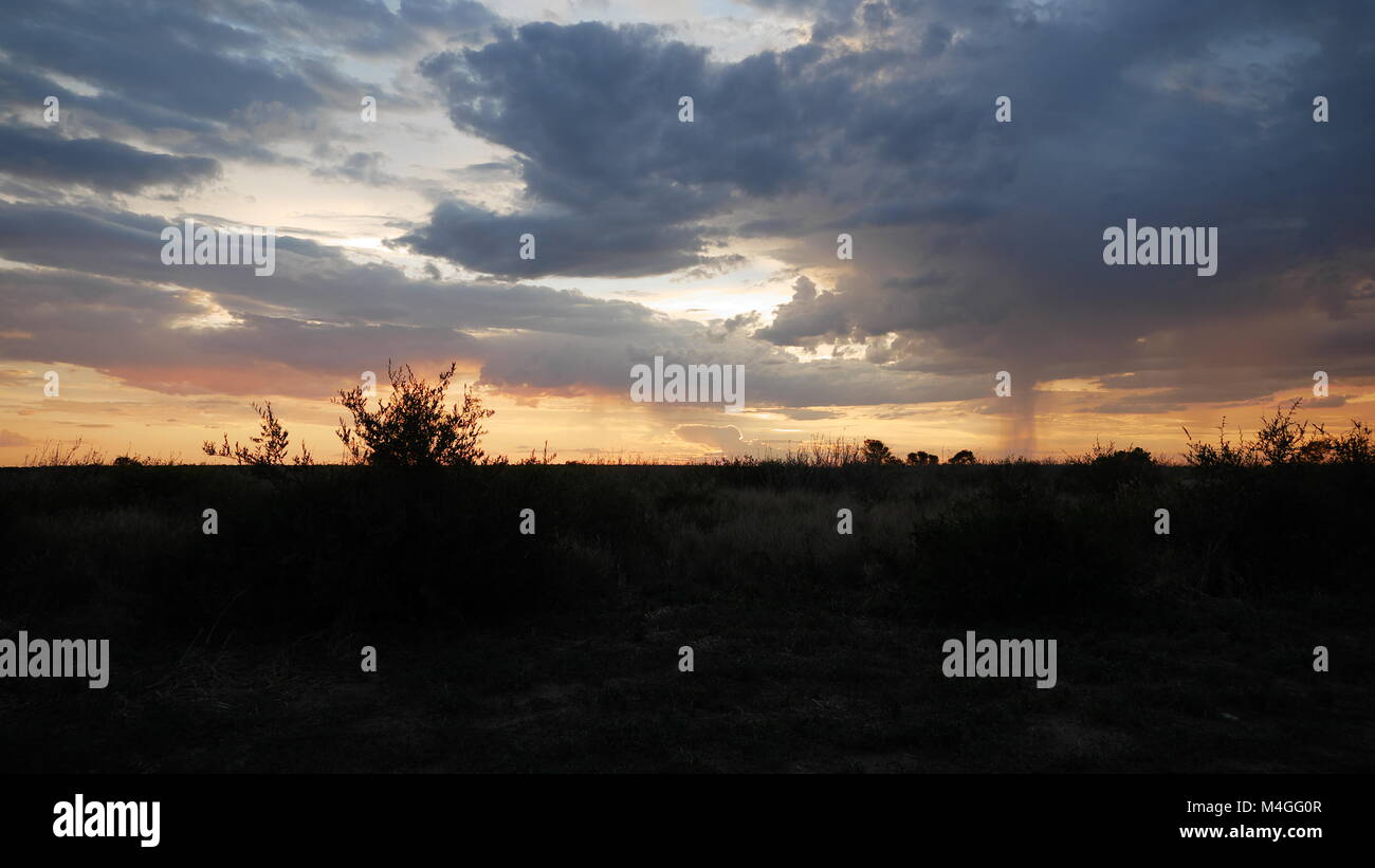 Central Kalahari Game Reserve tramonto africa botswana Foto Stock