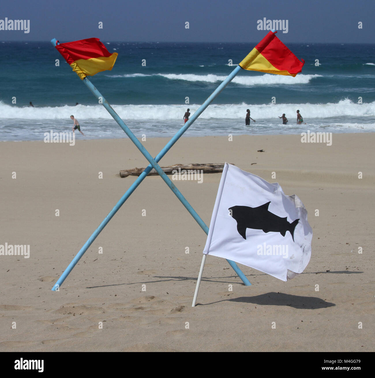 San Lameer Beach con il bianco e nero shark flag che indica che uno squalo è stato avvistato e bagnino di turno bandiera, South Coast, Kwazulu Natal, Sout Foto Stock