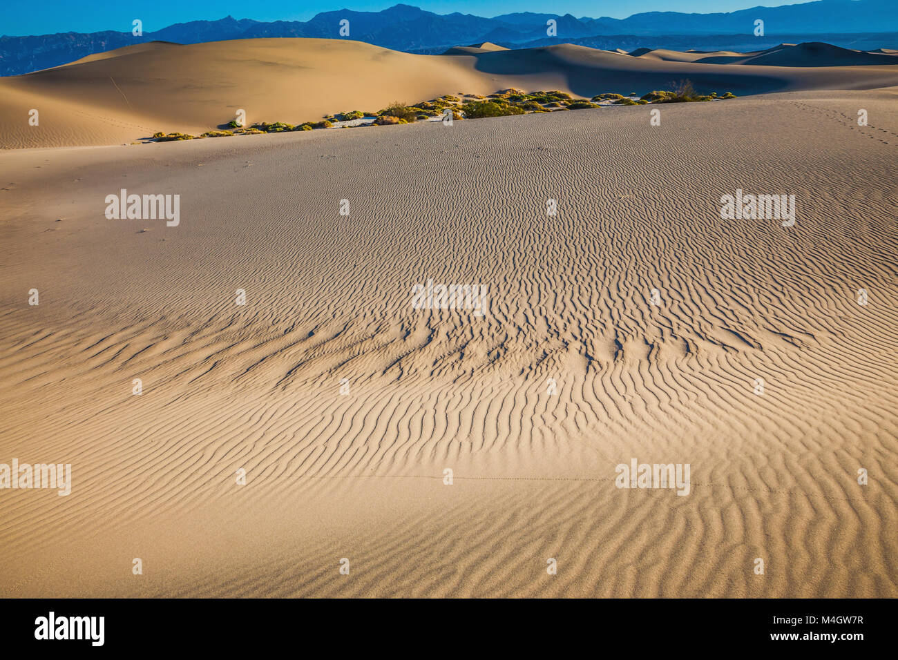 Piccole ondulazioni sulle dune di sabbia Foto Stock