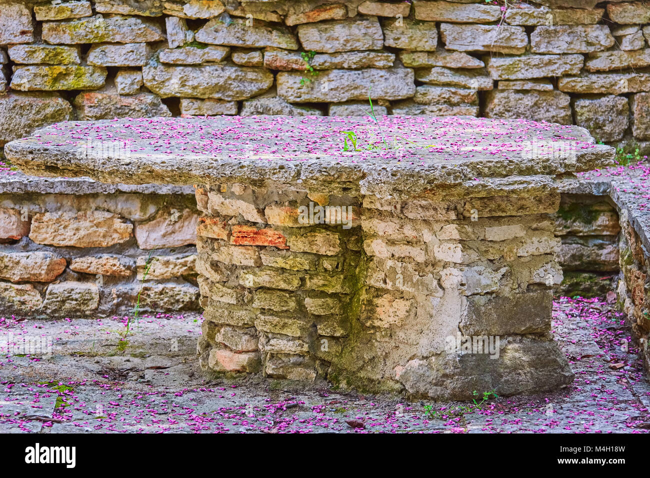 Tavolo in giardino Foto Stock