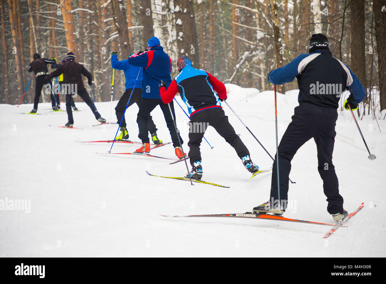 La Siberia, Russia - 4.02.2018: Sportmans sci di fondo in inverno la foresta, formazione sportiva in Russia Foto Stock