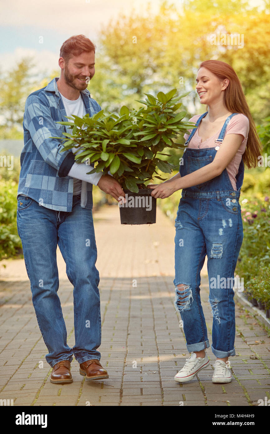 Allegro giardinieri che trasportano pianta in vaso Foto Stock