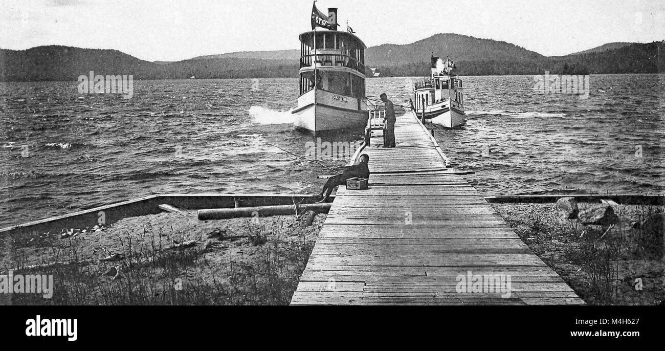 Relazione annuale della Commissione Forestale dello Stato di New York (1894) (19177870649) Foto Stock