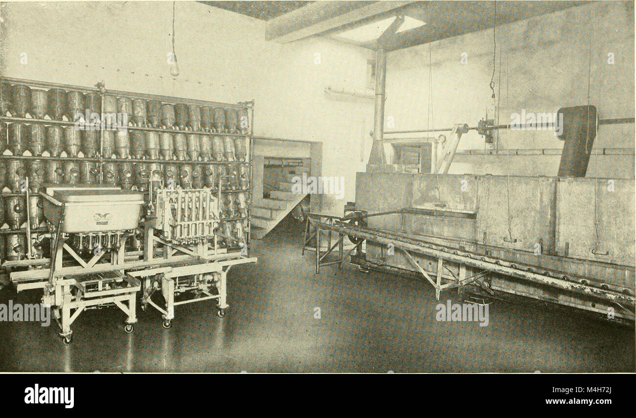 Relazione annuale del Massachusetts Stazione di Esperimento Agricola (1917) (19364843835) Foto Stock