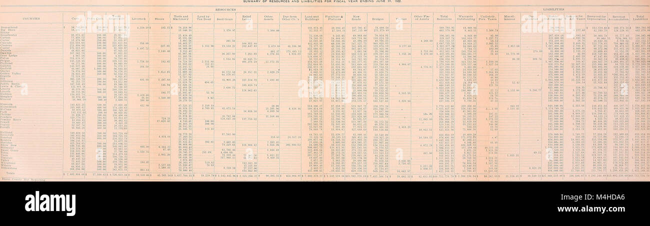 Relazione annuale dello stato esaminatore e la relazione annuale del dipartimento bancario per l'anno fiscale conclusosi nel giugno 30 (1922) (14764863634) Foto Stock
