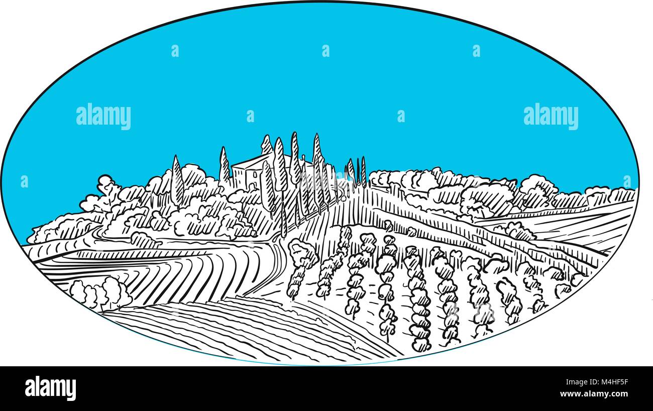 Vineyard landscape design etichetta. Schizzi tracciati a mano in splendidi contorni e colori. Moderno vettore illustrazione. Illustrazione Vettoriale