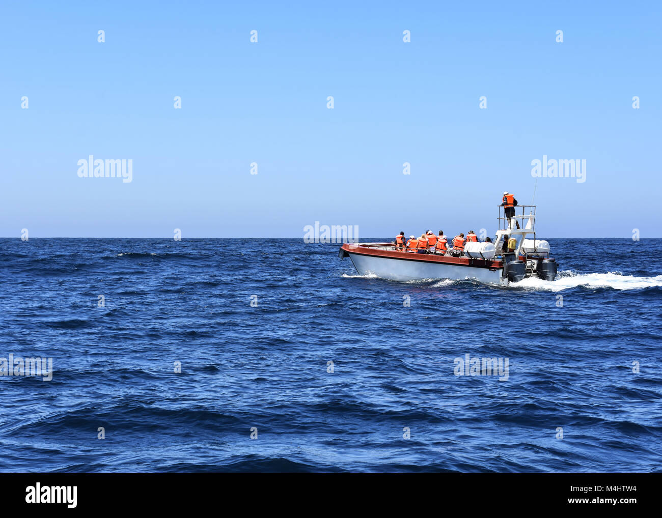 Un gruppo di turisti su un avvistamento di balene viaggio nell'Oceano Indiano vicino a Plettenberg Bay nei pressi di Robberg sulla Garden Route del Sud Africa Foto Stock