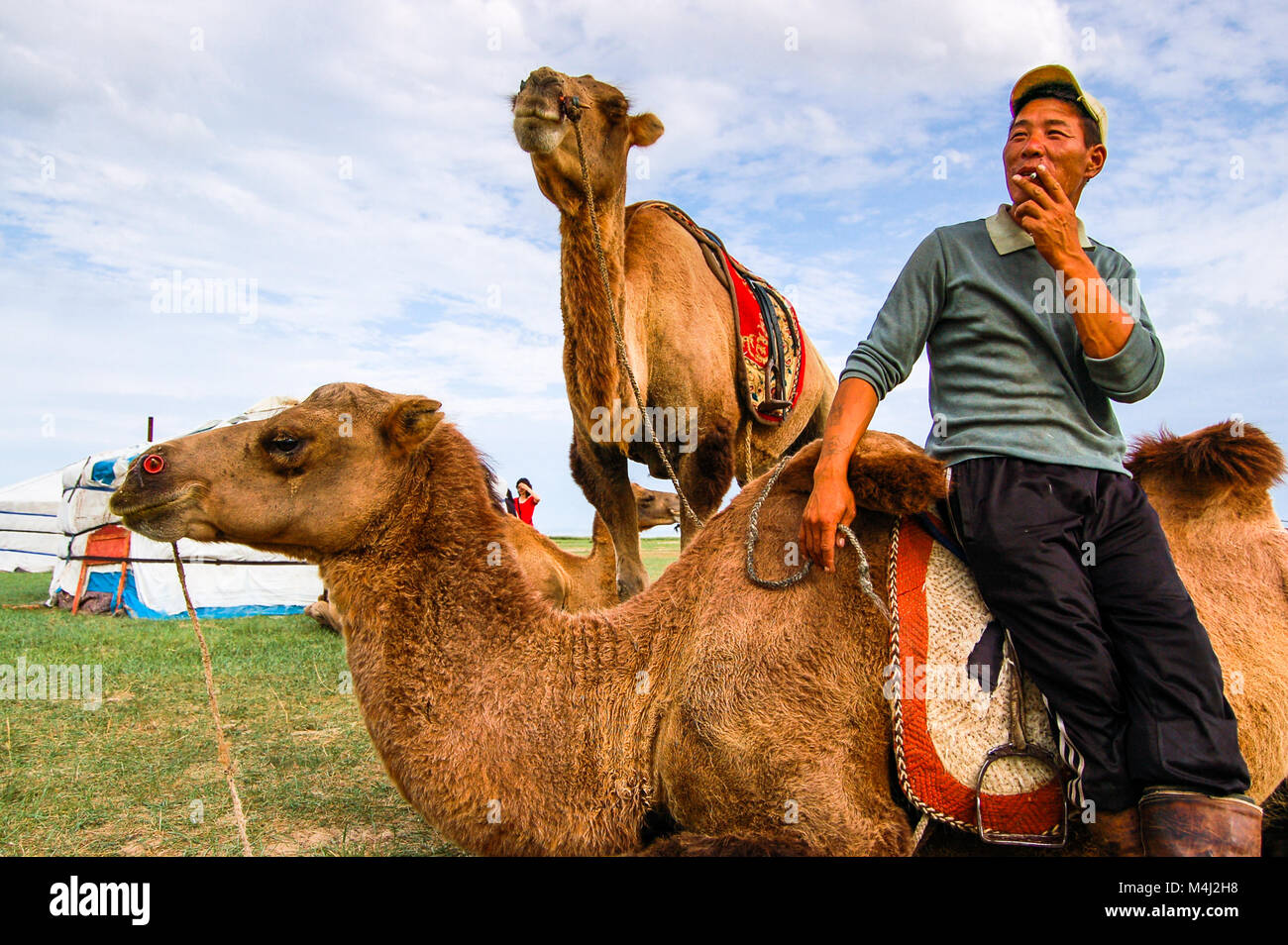 Mongolo duna di sabbia, Mongolia centrale - Luglio 27, 2010: Cameleer & cammelli di fronte yurt, chiamato ger, sulla steppa mongola vicino mongolo duna di sabbia Foto Stock