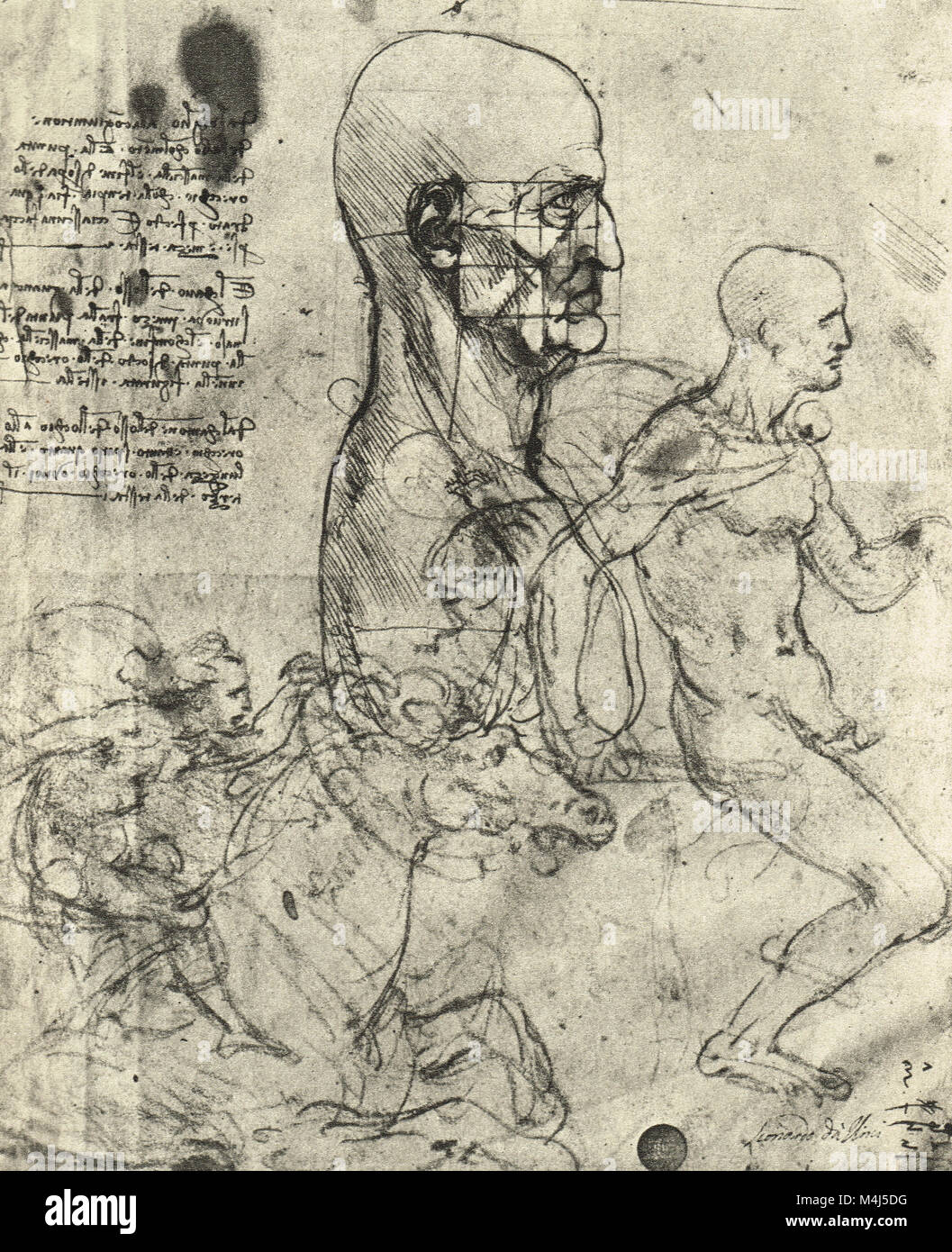 Profilo di un uomo al quadrato per la proporzione e studi di cavalieri, disegnata da Leonardo Da Vinci, circa 1490 Foto Stock