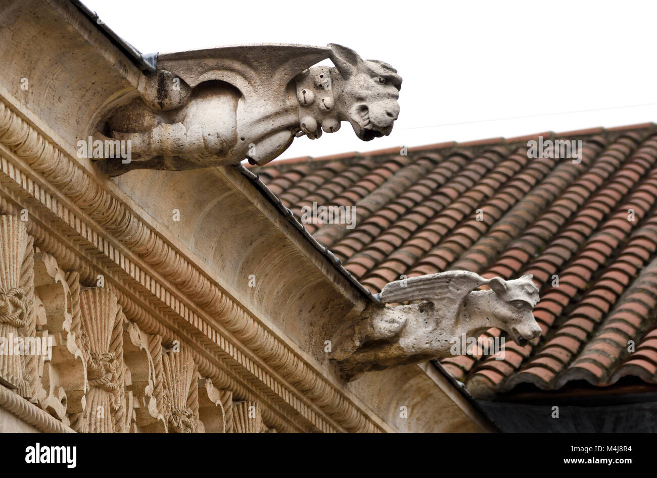 Gargoyle sculture della facciata anteriore (dettagli) Il conventuale Iglesia de San Pablo o San Pablo de Valladolid è una chiesa ed ex convento, di stile Isabelline, nella città di Valladolid, in Castiglia e León, stile architettonico gotico Isabelline (Quartiere Gotico), Plateresque (rinascimentale completato nel 1445-1616 ) Spagna SpanishSpain, spagnolo Foto Stock