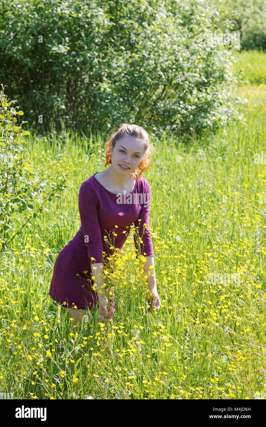 La ragazza lo sniffing un prato fiore di un giorno di estate Foto Stock