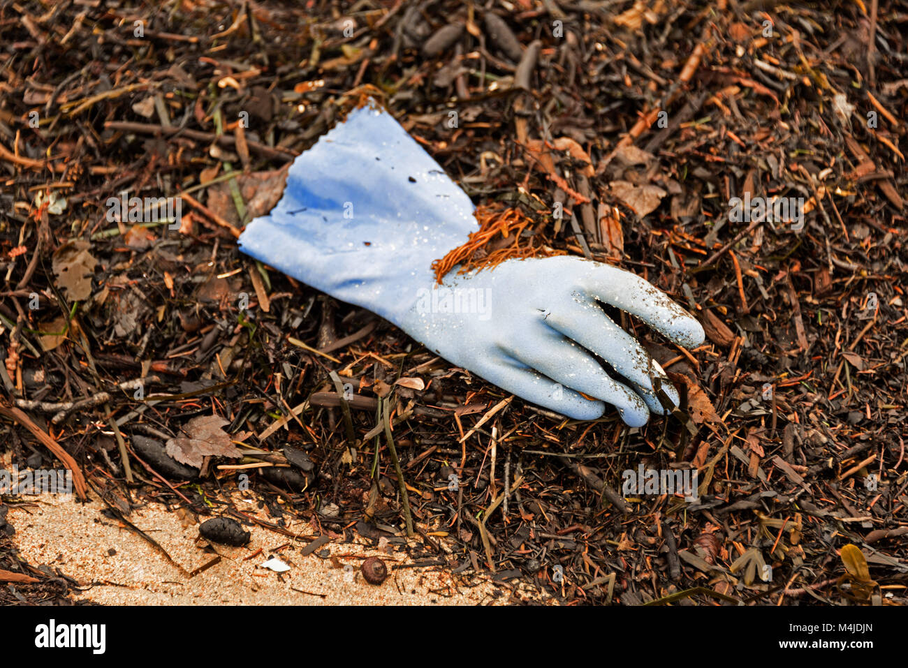 Scartato guanto di gomma lavata fino sulla spiaggia nel porto di tenuta, Maine. Foto Stock