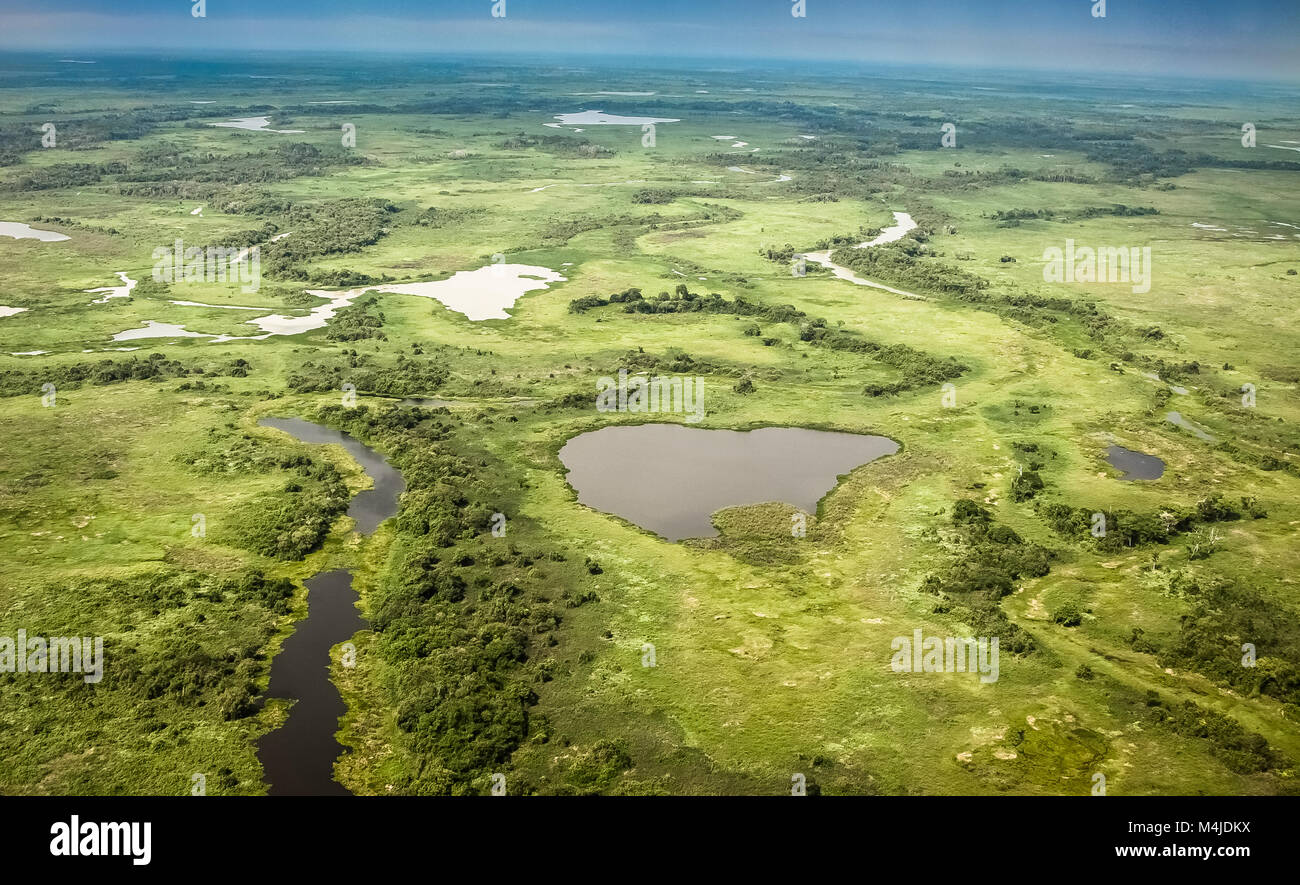 Vista aerea del Pantanal zone umide, Pantanal, Brasile Foto Stock