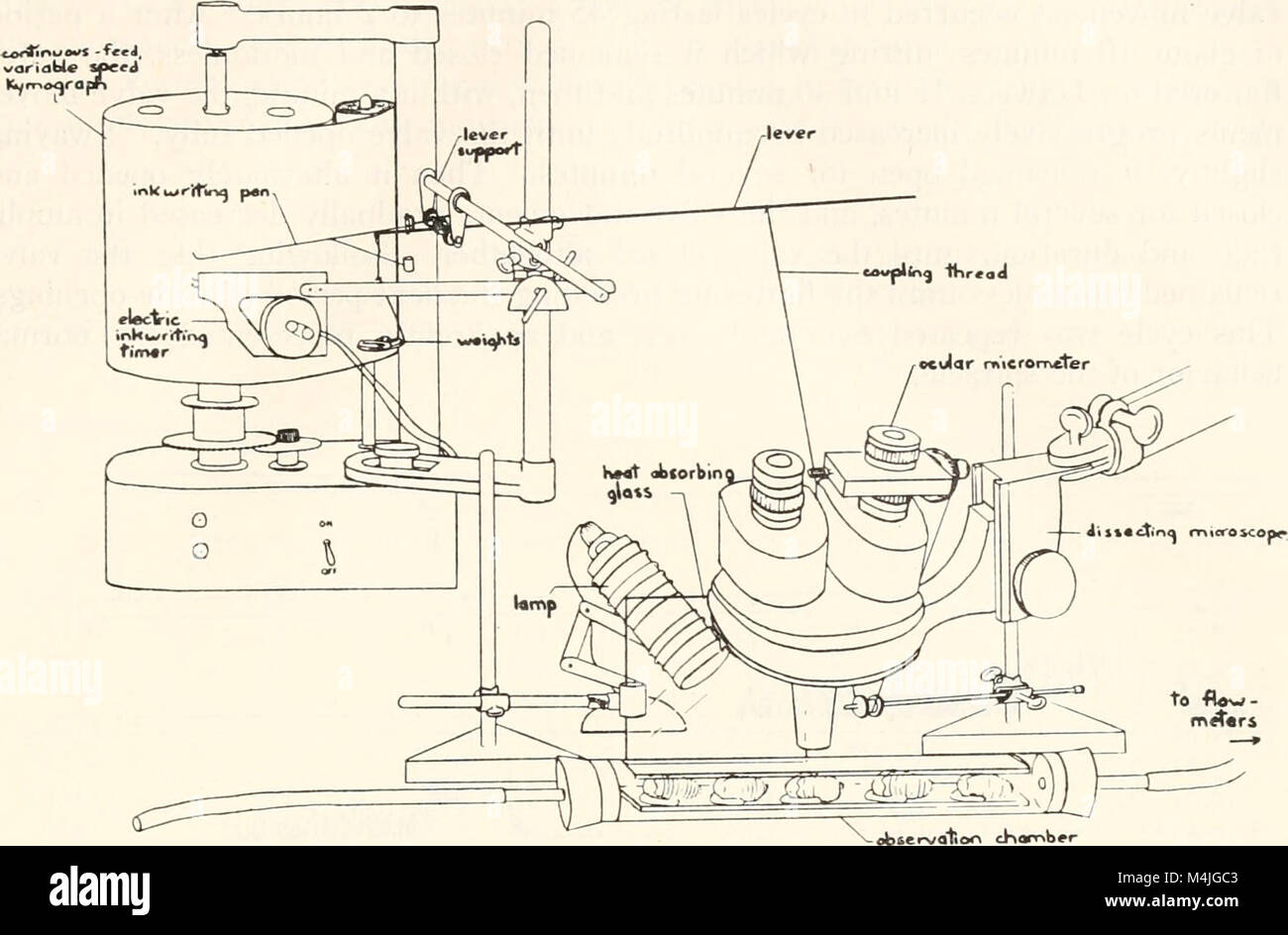 Questo lavoro scientifico discute l'apparato sviluppato per registrare i movimenti delle valvole spiraculari negli animali, un aspetto importante della fisiologia respiratoria. L'articolo fornisce informazioni sui primi metodi di studio dei sistemi respiratori animali. Foto Stock