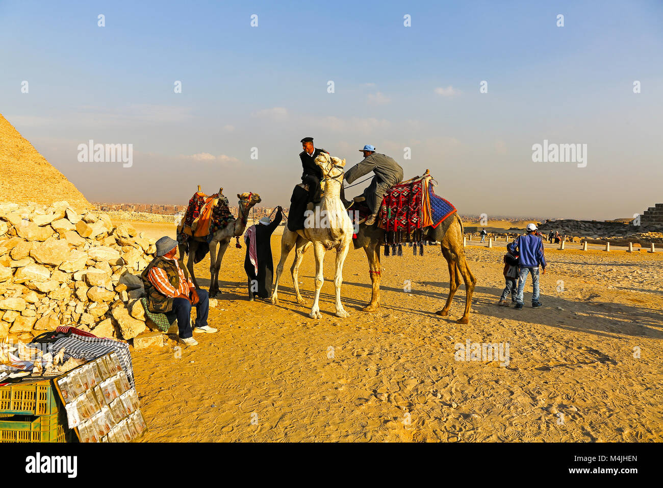 Cammelli alle Piramidi, Giza, Egitto, Nord Africa Foto Stock