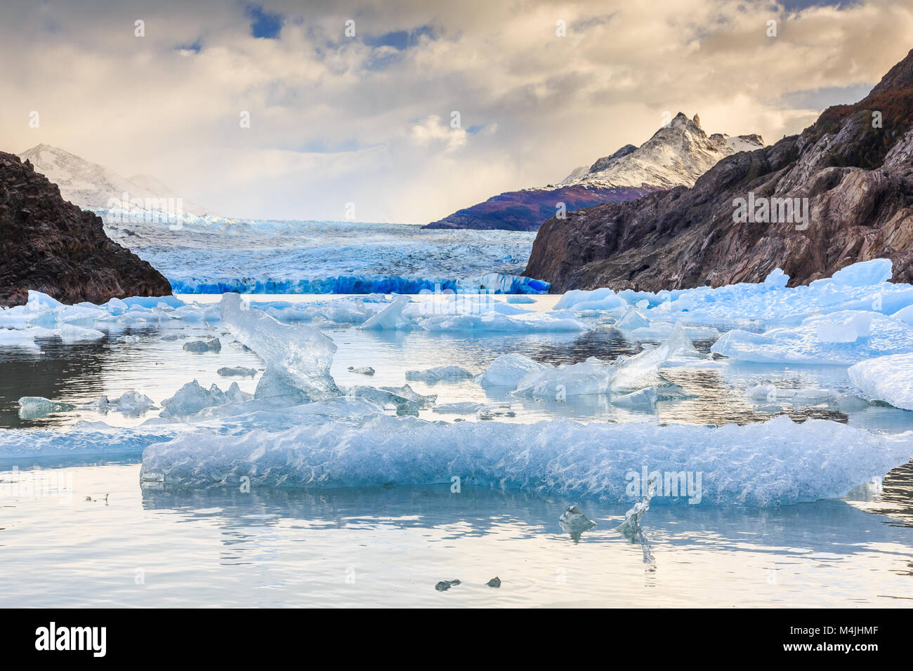 Parco Nazionale di Torres del Paine Cile. Ghiacciaio Grey. Foto Stock