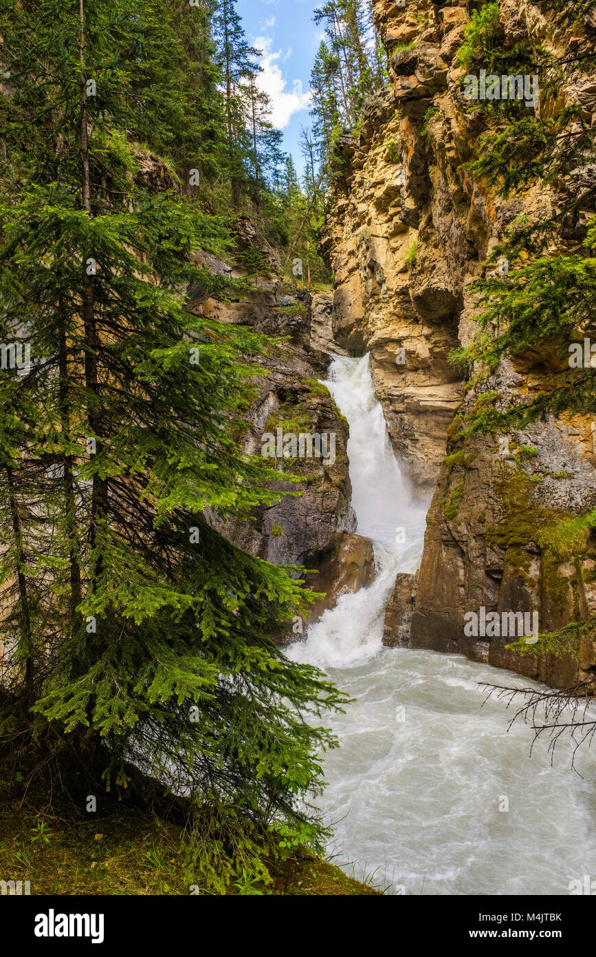 Le cascate Inferiori nel Canyon Johnston, il Parco Nazionale di Banff, Canada Foto Stock