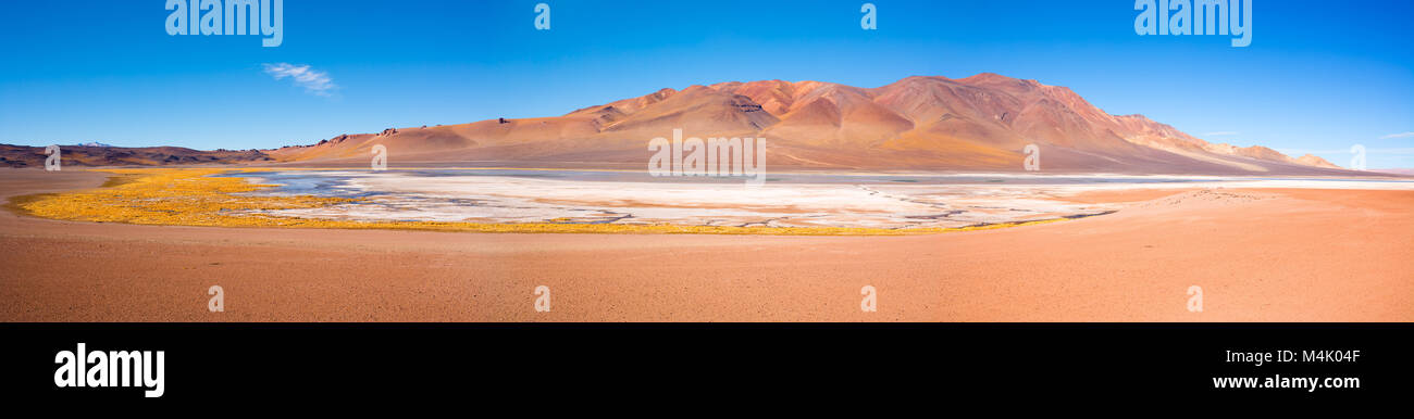 Salar de Aguas Calientes (Aguas Calientes Salt Lake) nel Altiplano (alto altopiano andino) a un'altitudine di 4200m, il deserto di Atacama, Cile, Sud Amer Foto Stock