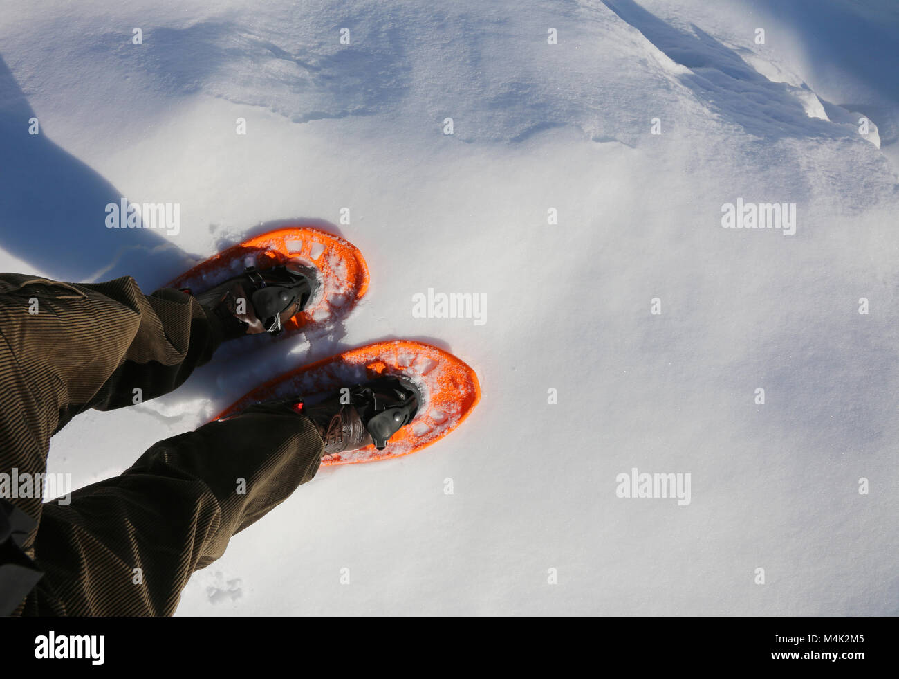 L'uomo cammina con i calzoni di velluto o pantaloni in velluto a coste in  inverno usinge due orange racchette da neve Foto stock - Alamy