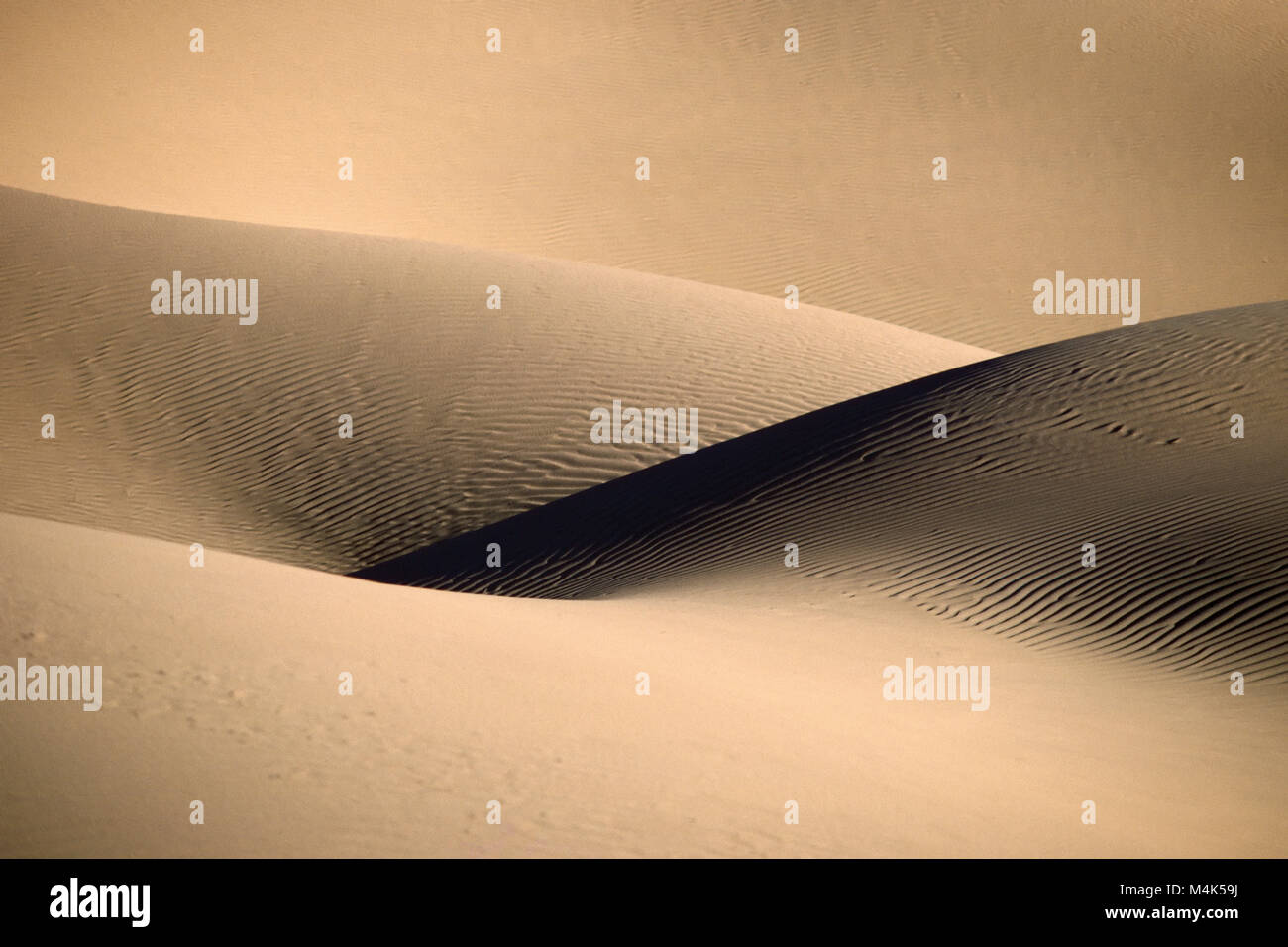 In Algeria. Kerzaz. Western mare di sabbia. Grand Erg Occidental. Deserto del Sahara. Chiudere fino dune di sabbia e di ombra. Foto Stock