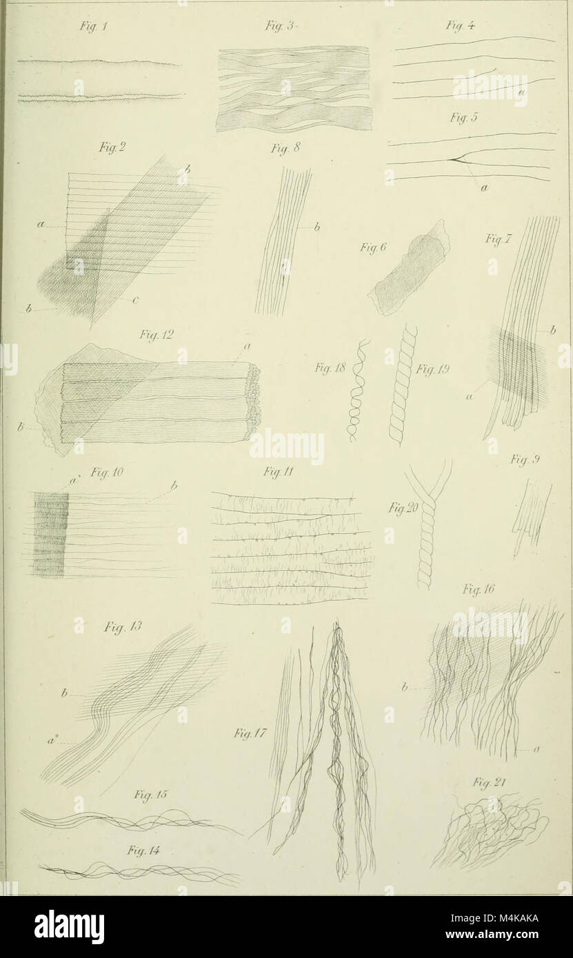 Atti della R. Accademia delle Scienze di Torino (1866-1927). (20321121206) Foto Stock