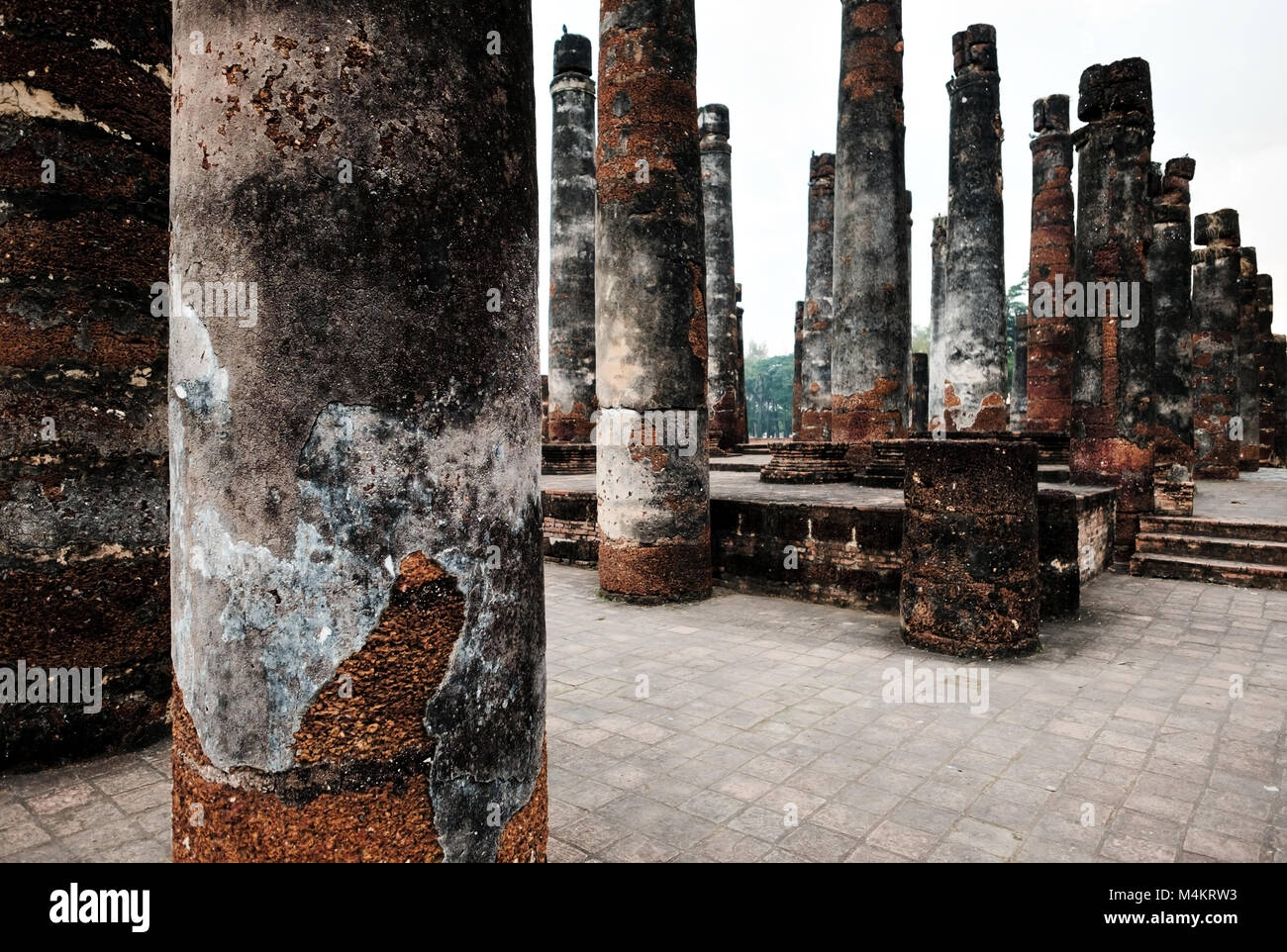 Tempio classico greco presso le rovine della città antica Paestum, CILENTO, ITALIA Foto Stock