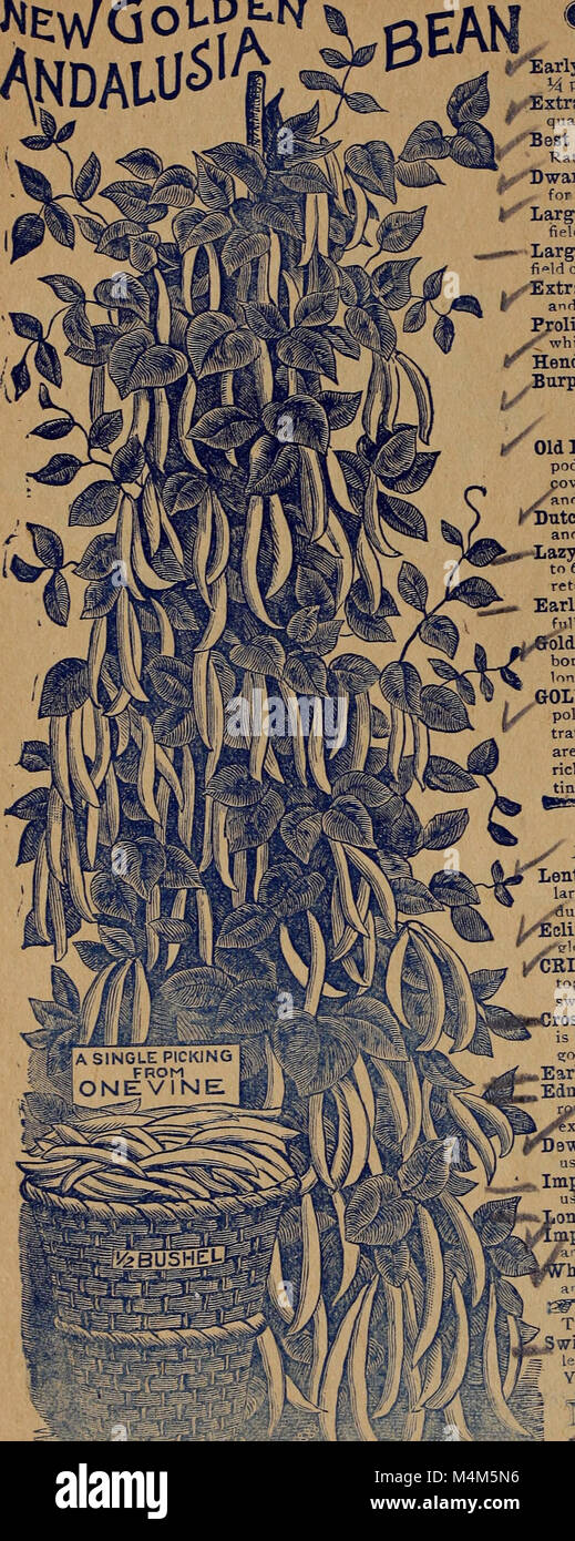 Il catalogo Bell per i semi del 1902 offre una selezione di semi per varie piante, sottolineando le opzioni convenienti e gli elevati tassi di germinazione per i giardinieri e gli agricoltori. Foto Stock